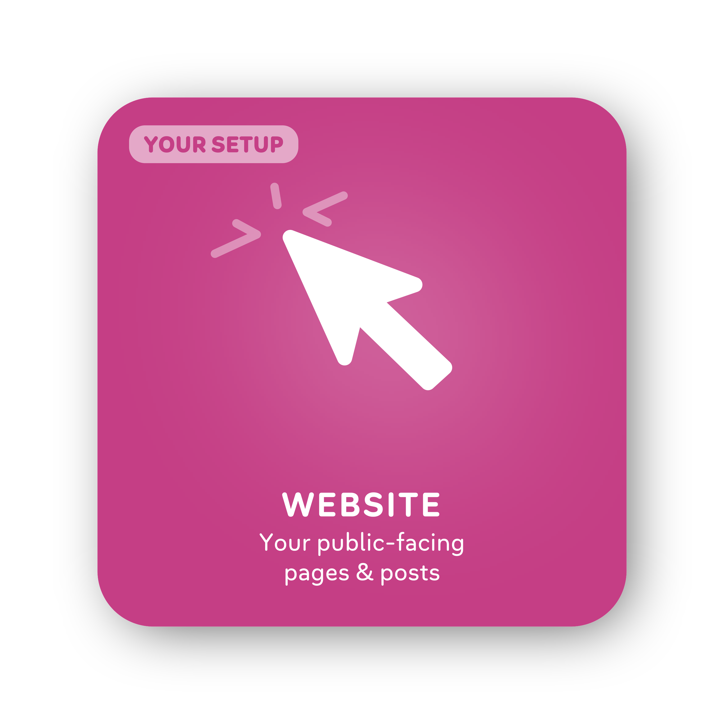 Card 28: Website